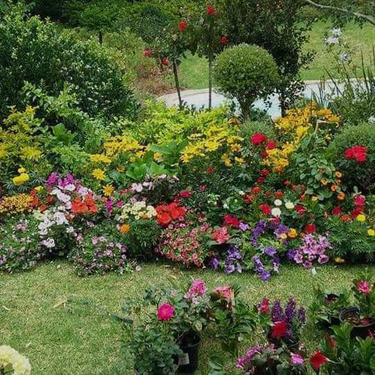 Comercial Garden - Gardening and Landscaping Services Cape Town