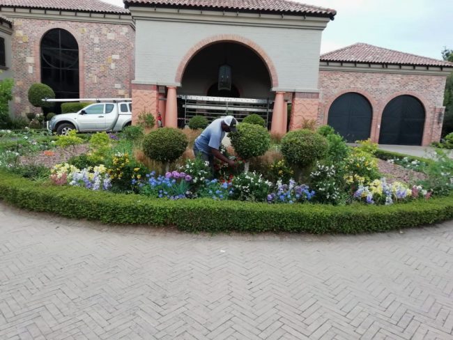 Front Yard Gardening - Greens Gardening Cape Town