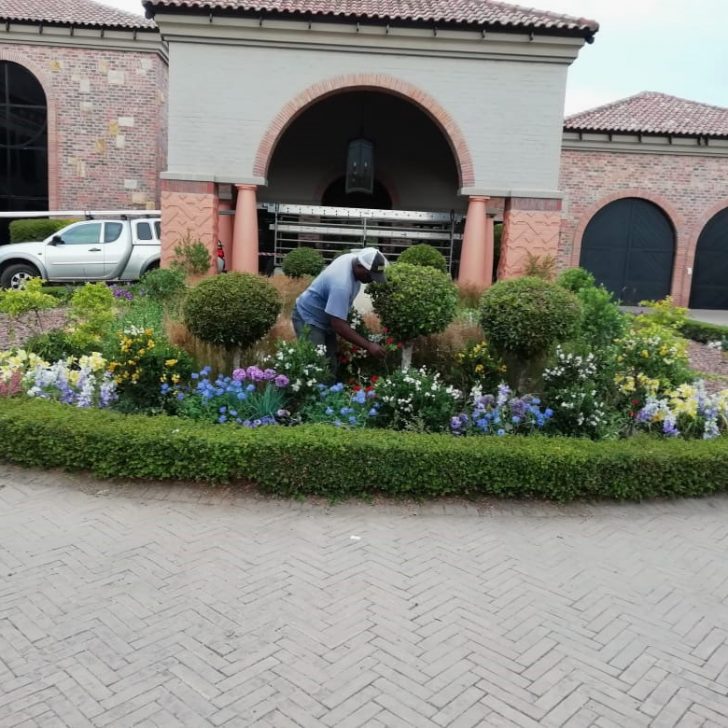 Front Yard Gardening - Greens Gardening Cape Town